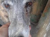 ¿porque tuve nacer, nunca nadie quiso?