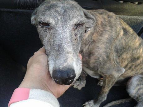 ¿PORQUE TUVE QUE NACER, SI NUNCA NADIE ME QUISO?