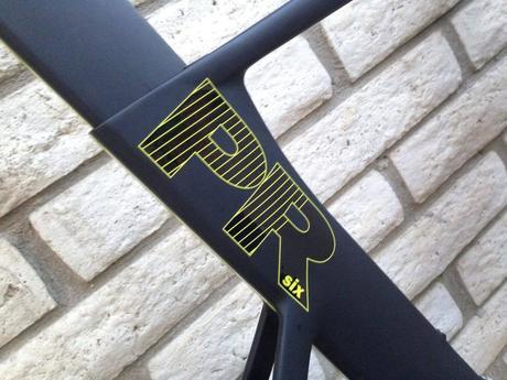 Quintana Roo PRsix 6