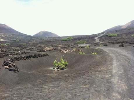 LANZAROTE: RODANDO JUNTO A EOLO, VULCANO Y NEPTUNO (IV)