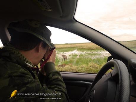 Segunda visita a la UC. Cambyretá