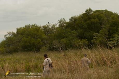 Segunda visita a la UC. Cambyretá