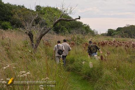 Segunda visita a la UC. Cambyretá