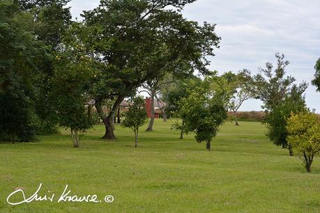 Segunda visita a la UC. Cambyretá