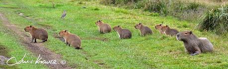 Segunda visita a la UC. Cambyretá