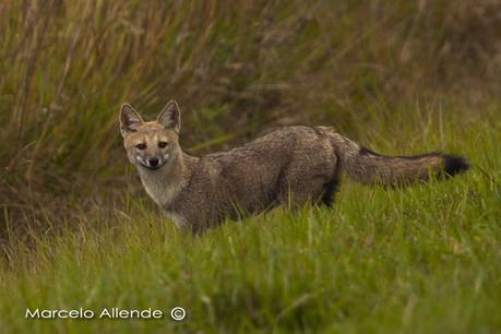 Segunda visita a la UC. Cambyretá