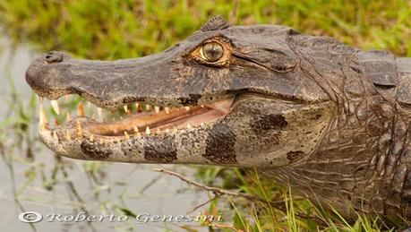 Segunda visita a la UC. Cambyretá