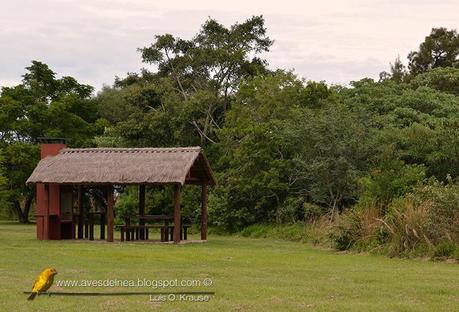 Segunda visita a la UC. Cambyretá