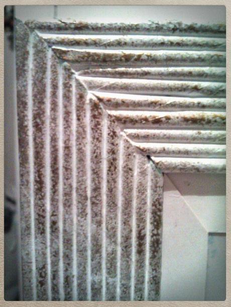 Marco de fotos artesanal - rústico