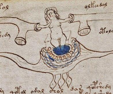 Voynich ¿El mayor Enigma a Punto de ser Revelado?