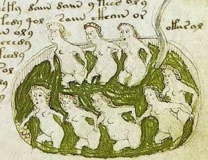 Voynich ¿El mayor Enigma a Punto de ser Revelado?