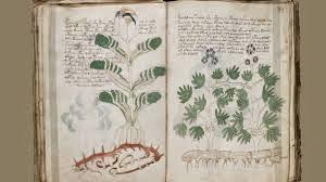 Voynich ¿El mayor Enigma a Punto de ser Revelado?