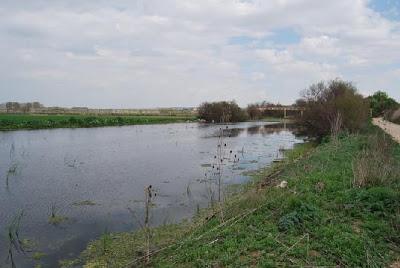 Dehesa de Barciles y las Ninfas Varcilenses, Añover de Tajo