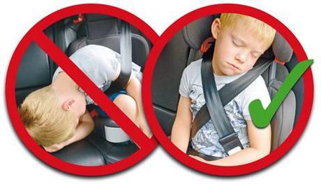 cinturon belt up nikidom