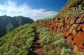 QUIERO VER LOS SENDEROS...