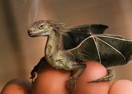 Es importante analizar como se desarrollaba tu sueño con dragones. ¿Eras atacado por un dragón o cuidabas de él?