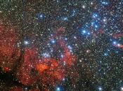 estrellas Jasón Argonautas