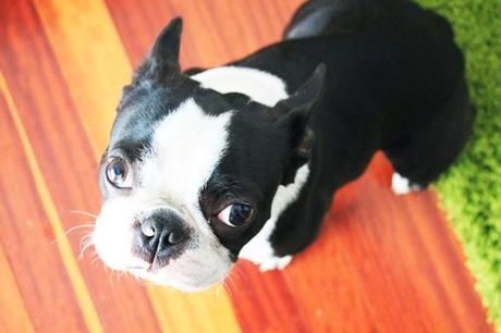 3 ideas #lowcost para una pared con clipboards!