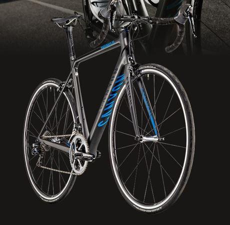 Canyon Endurace CF 7