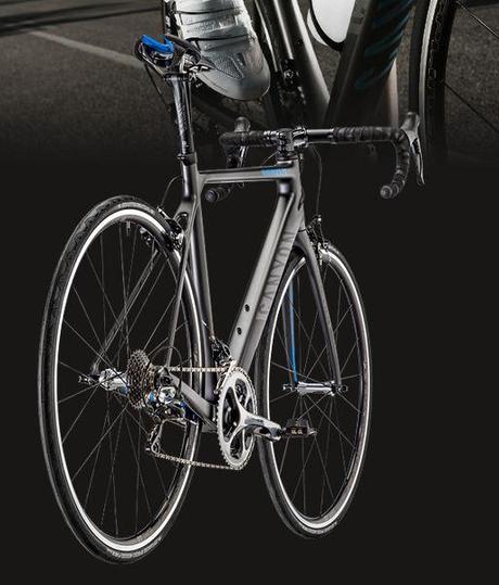 Canyon Endurace CF 11