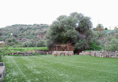 Un hotel rural con sabor canario