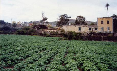 Un hotel rural con sabor canario