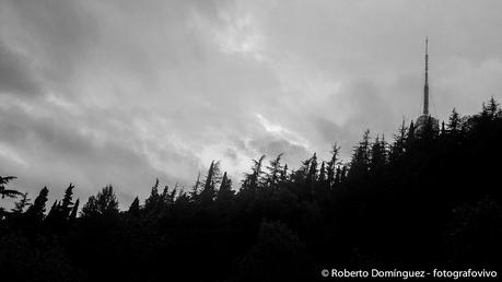 © R.Domínguez-El bosque animado