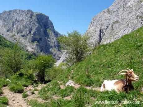 Naranjo de Bulnes: ruta de dos días Ruta Naranjo de Bulnes