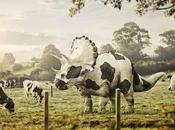 Triceracow