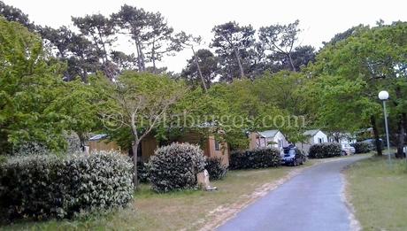 Día 3: Sabres-Pisos-Parentis-Arcachon-Dune du Pilat.  95Kms.