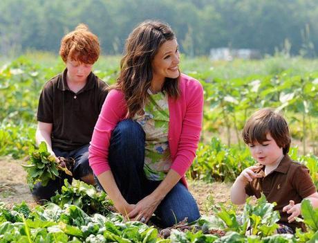 ¿Por qué comer verduras y hortalizas todos los días? cultivar en casa