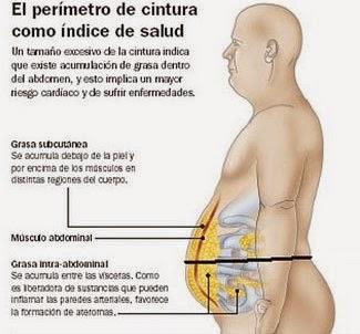 Perímetro de la cintura como indicador de salud