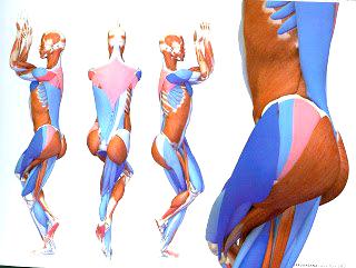 ASANAS DE EQUILIBRIO: GARUDASANA O EL ÁGUILA