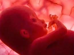 Alimentación autorregulada