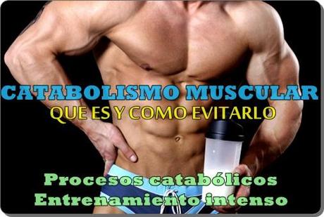 El Catabolismo muscular