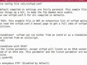 Crear servidor virtual Xubuntu 14.04 Paso