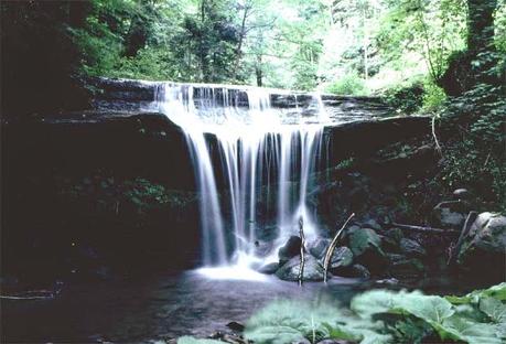 Parque Nacional de Casentino, Monte Falterona y Campigna: bosques milenarios y ambientes naturales, escenario de la antigua presencia humana.