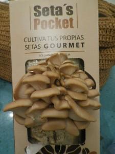 Cultivar setas en casa-Curiosidades gastronómicas