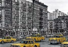 Stephen Wiltshire Prodigio del arte