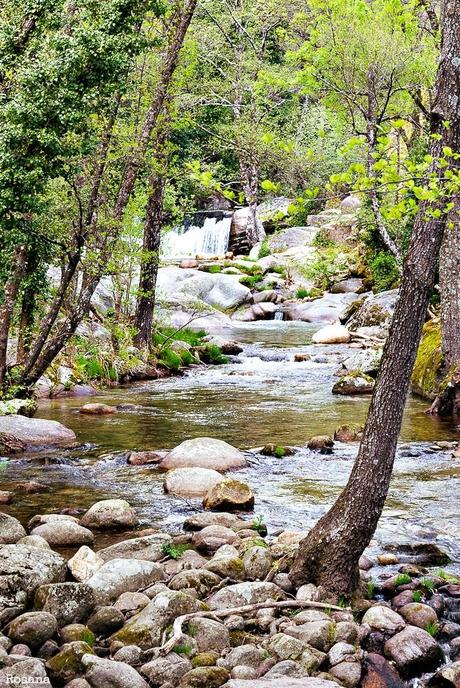 Semana de descanso... visitando el paraíso -Valle del Jerte-