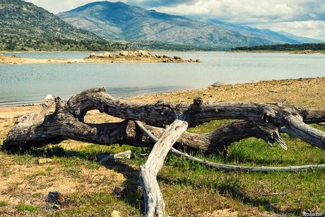 Semana de descanso... visitando el paraíso -Valle del Jerte-