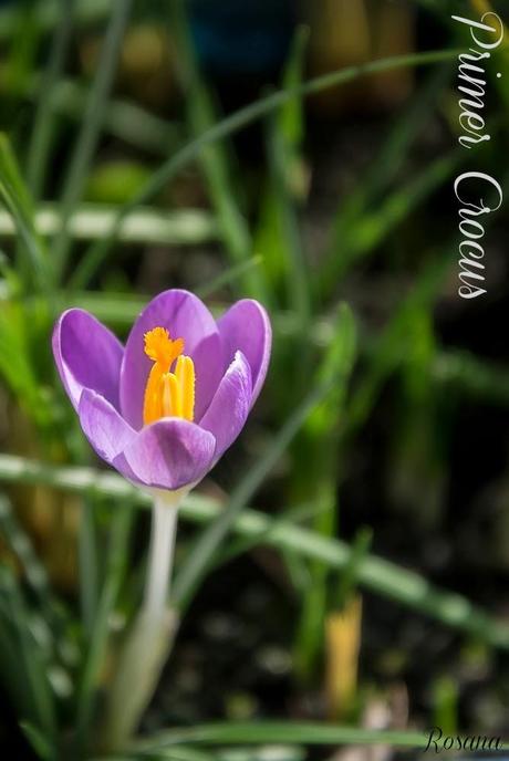 Mon Cahier de Broderie - Hoja 1