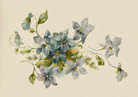 Forget Me Not -BBD- SAL de Cova