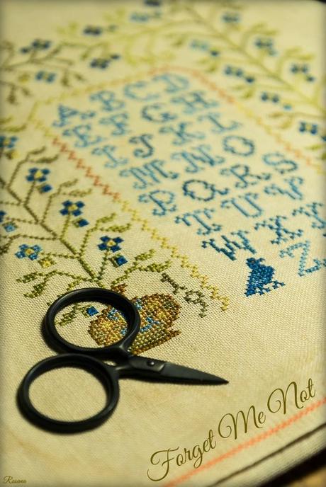 Forget Me Not -BBD- SAL de Cova