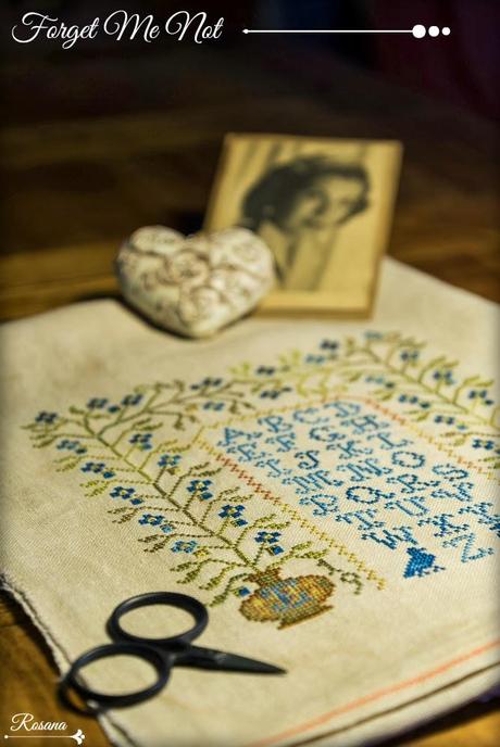 Forget Me Not -BBD- SAL de Cova