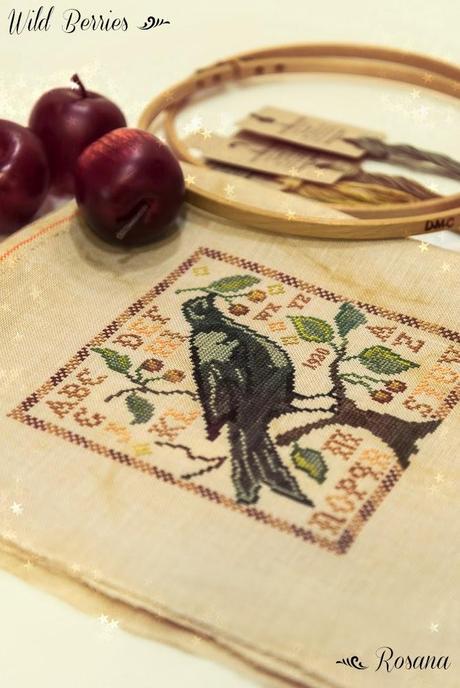 Abecedarian Series -BBD- SAL de Cova