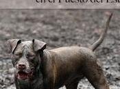 Cristina Fallarás. Últimos días puesto este