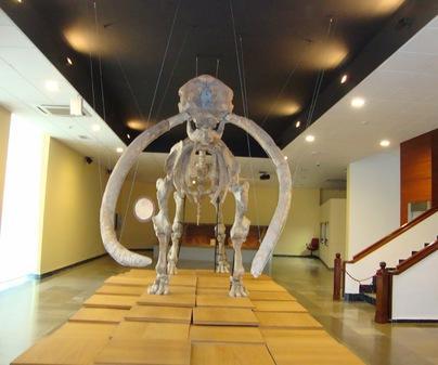 museo-de-ciudad-real-arqueologia