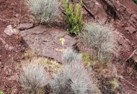 Castillo de Montornés, senderismo en del Desierto de las Palmas