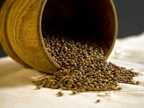 ¡No, no son lentejas!